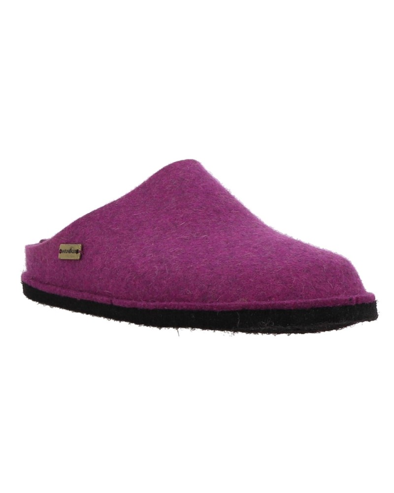 FLAIR SOFT