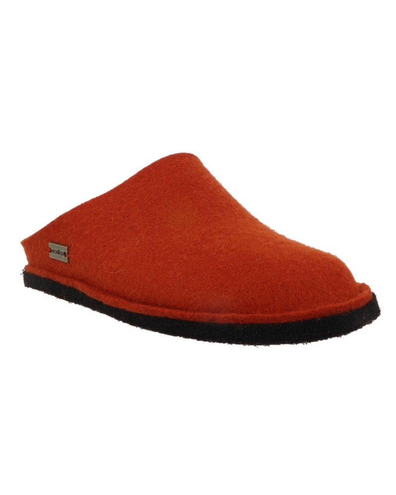 FLAIR SOFT