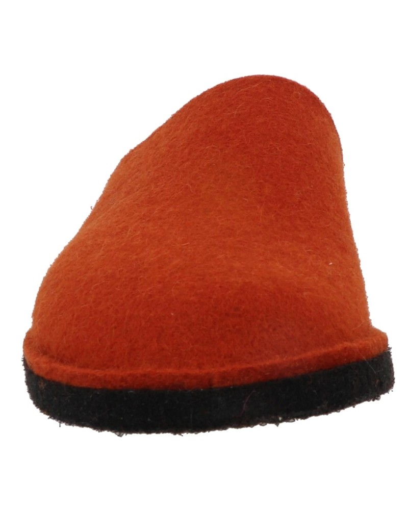 FLAIR SOFT