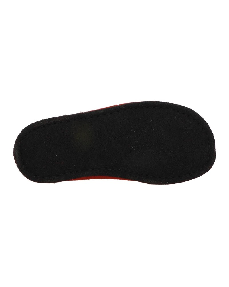 FLAIR SOFT