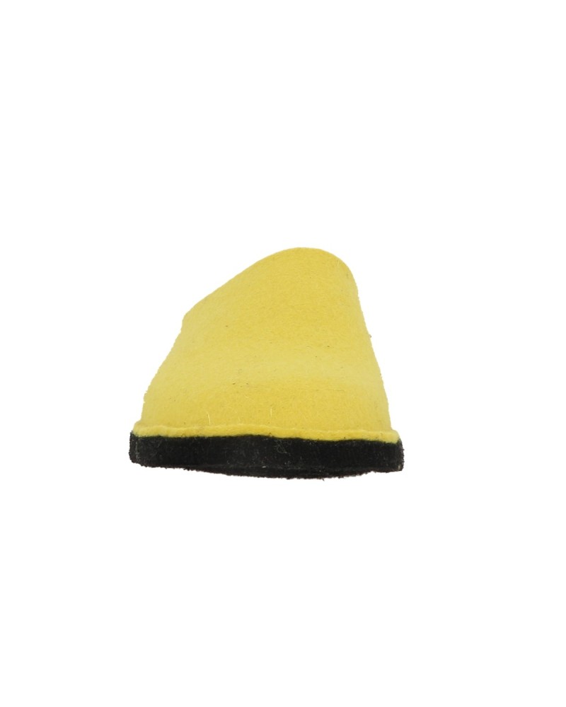FLAIR SOFT