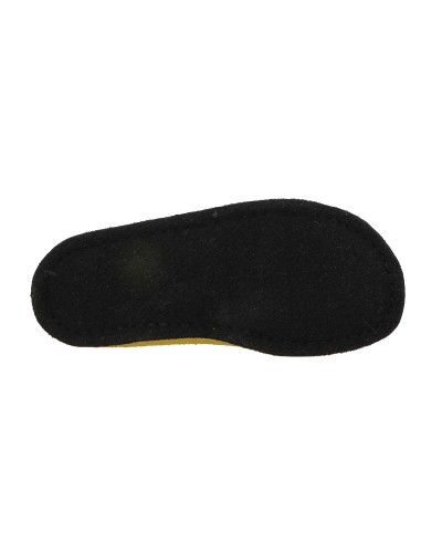 FLAIR SOFT