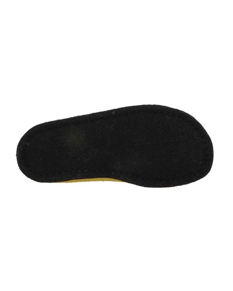 FLAIR SOFT