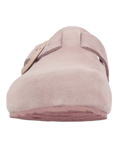 Mules Haflinger Porto