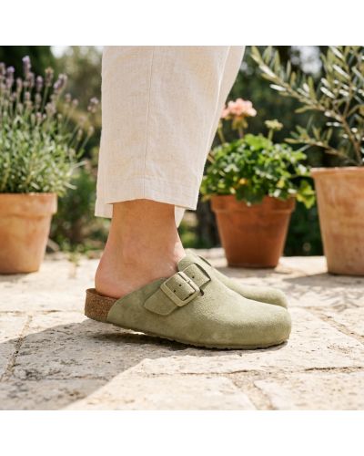 Mules Haflinger Porto