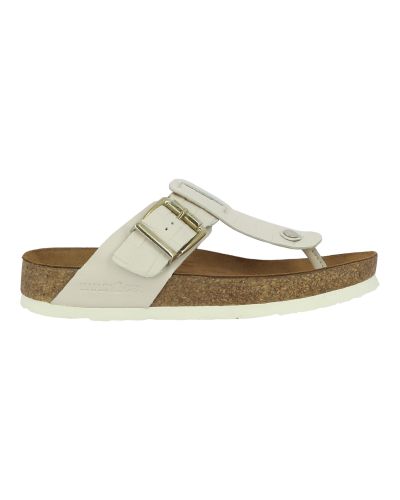 Mules Haflinger Cora