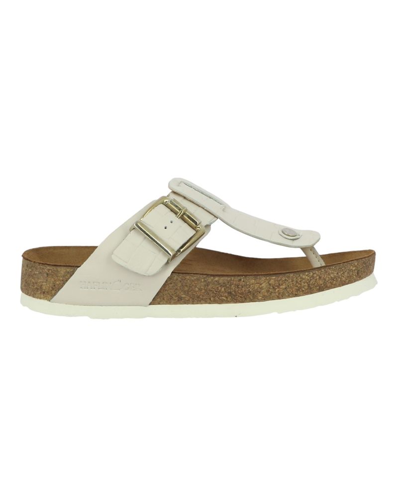 Mules Haflinger Cora
