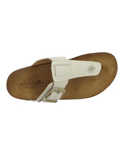 Mules Haflinger Cora
