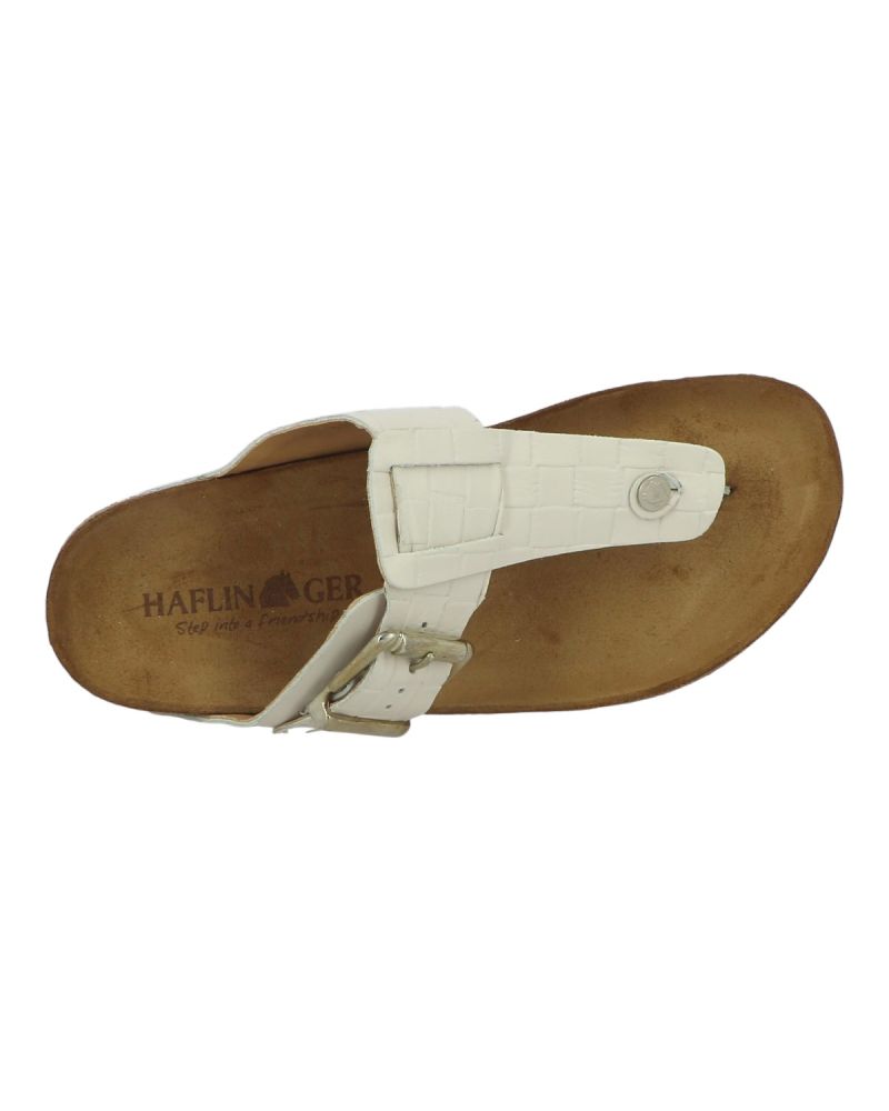 Mules Haflinger Cora