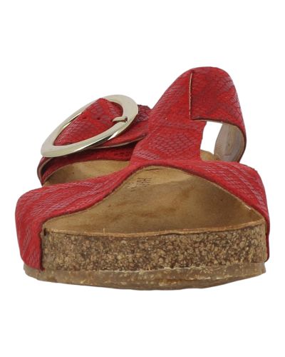 Mules Haflinger Round Buckle Mika
