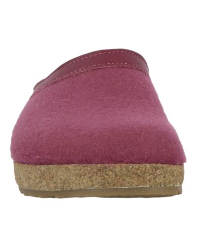 Mules Haflinger Grizzly Torben