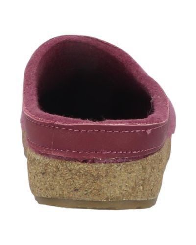 Mules Haflinger Grizzly Torben