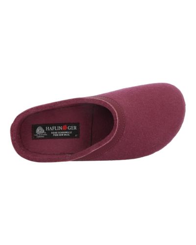 Mules Haflinger Grizzly Torben
