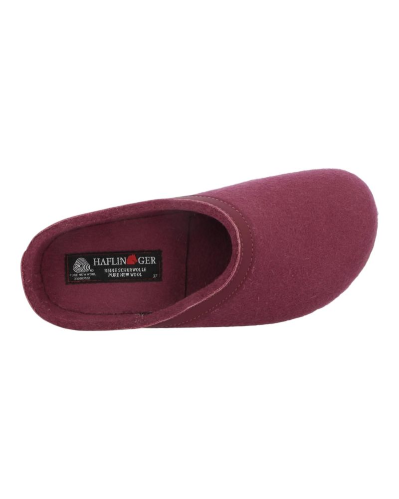 Mules Haflinger Grizzly Torben