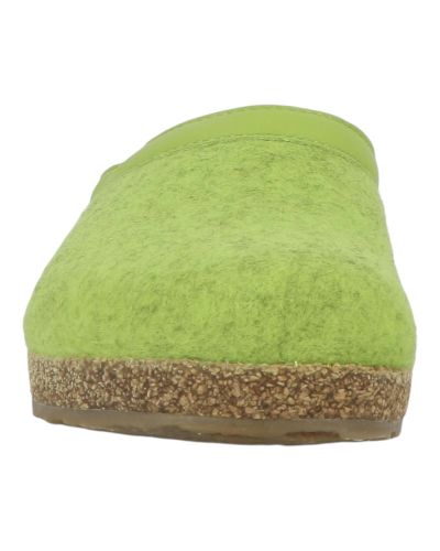 Mules Haflinger Grizzly Torben