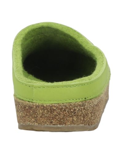 Mules Haflinger Grizzly Torben