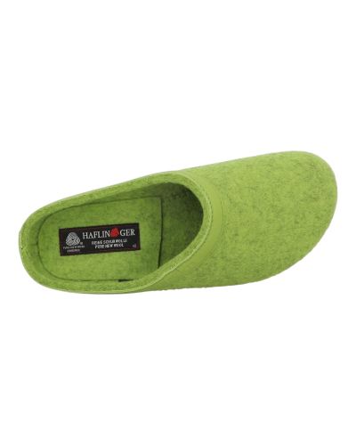 Mules Haflinger Grizzly Torben