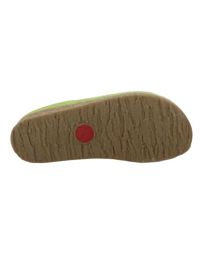 Mules Haflinger Grizzly Torben