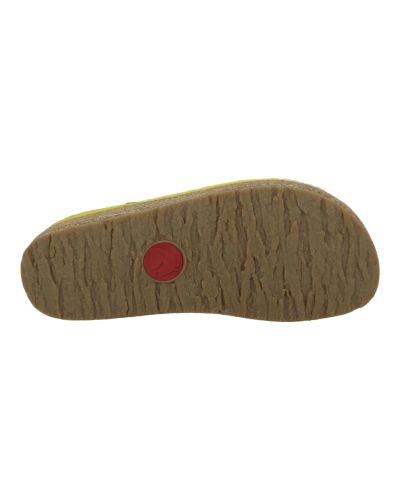 Mules Haflinger Grizzly Kris