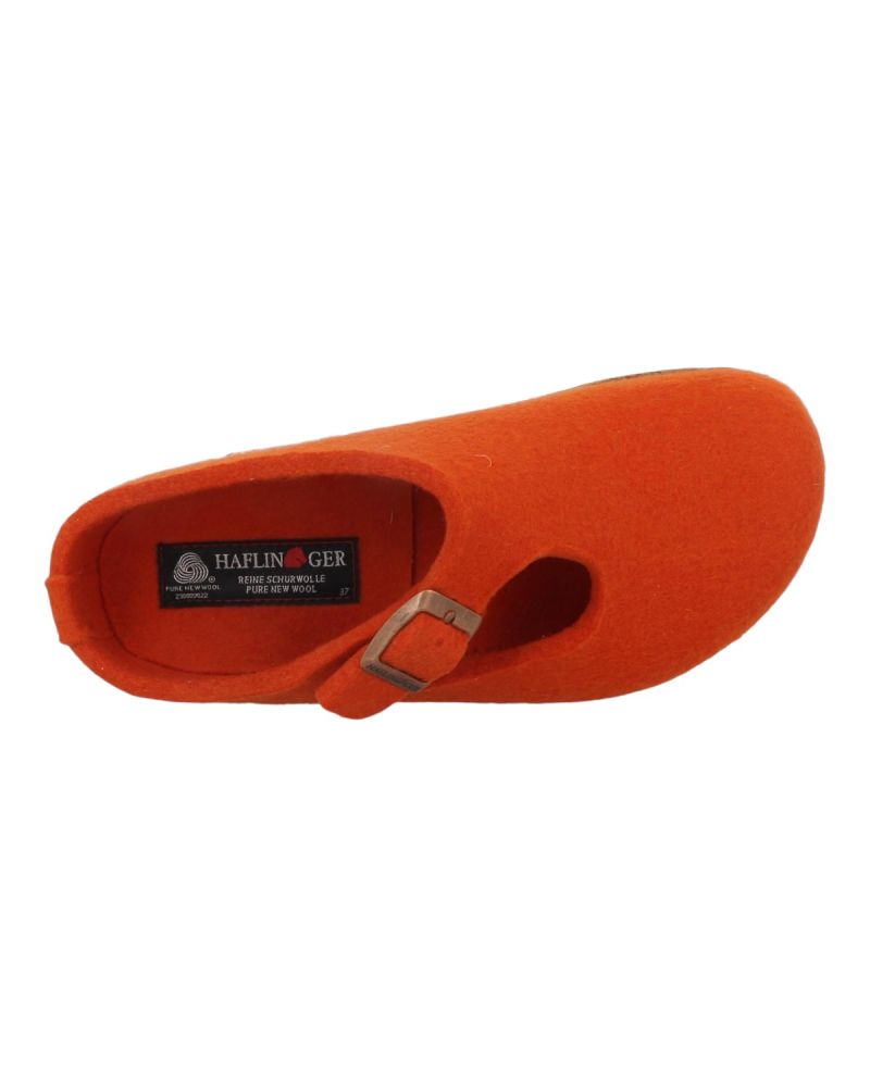 Mules Haflinger Grizzly Sharon